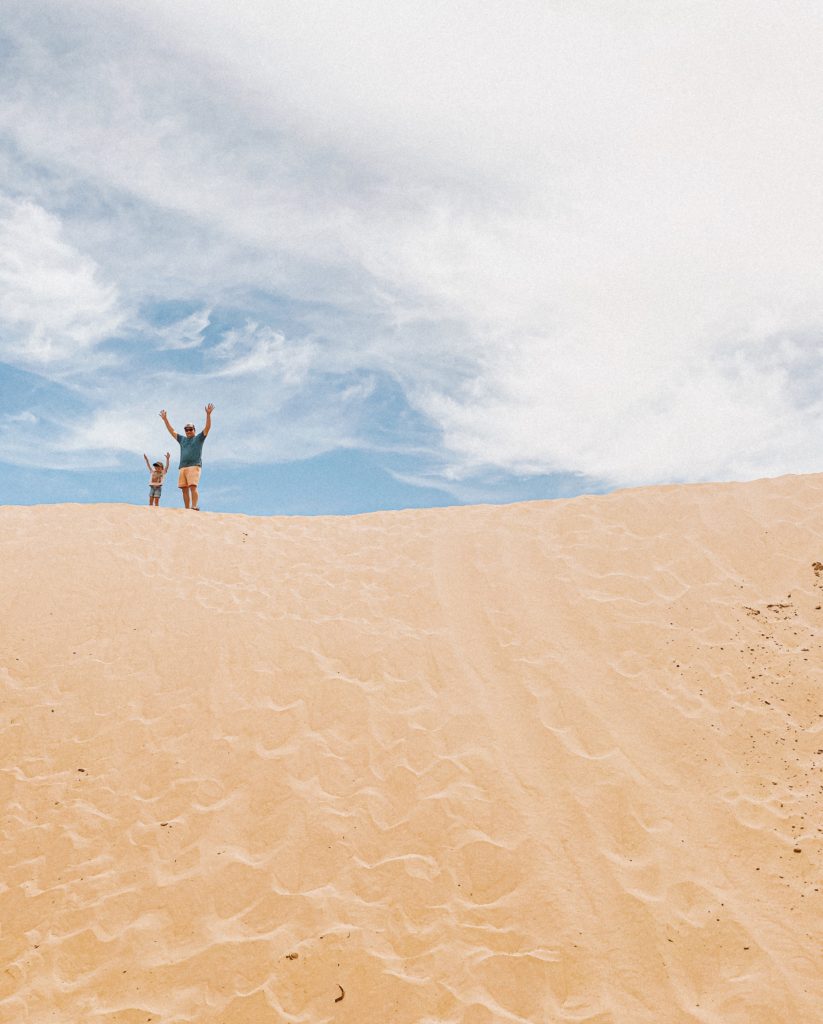 little sahara sand dunes