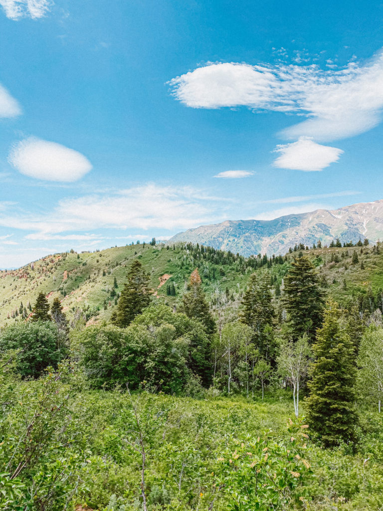 Devil S Kitchen Utah Trail Cherrington Chatter Adventures And Activities   IMG 3992 768x1024 